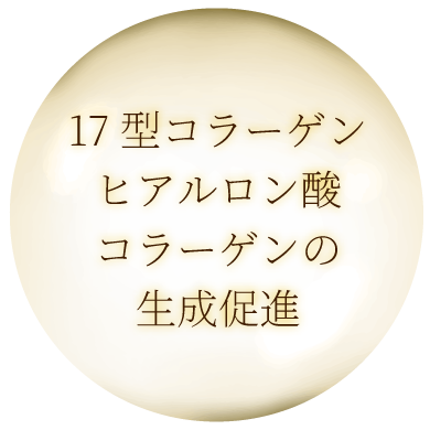17型コラーゲンヒアルロン酸コラーゲンの生成促進